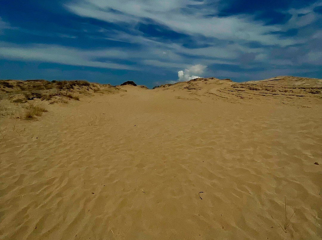 Issos Beach-Agios Georgios必去景点