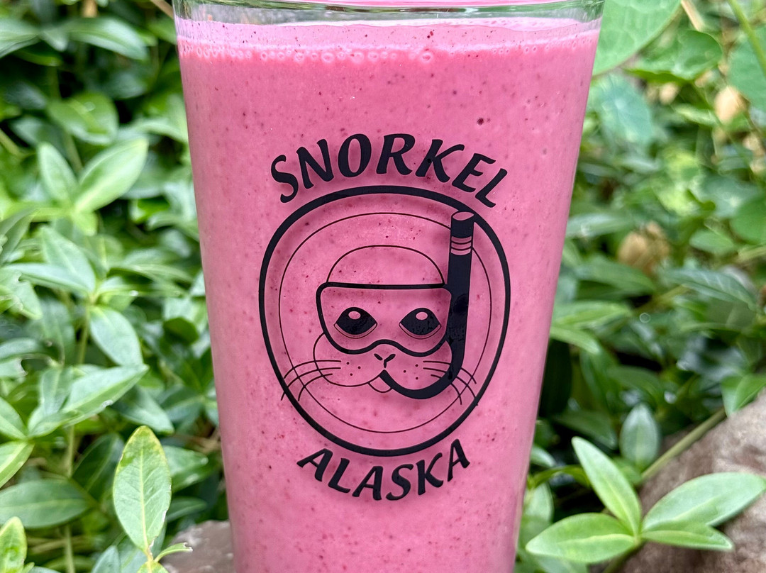 Snorkel Alaska-凯奇坎必去景点