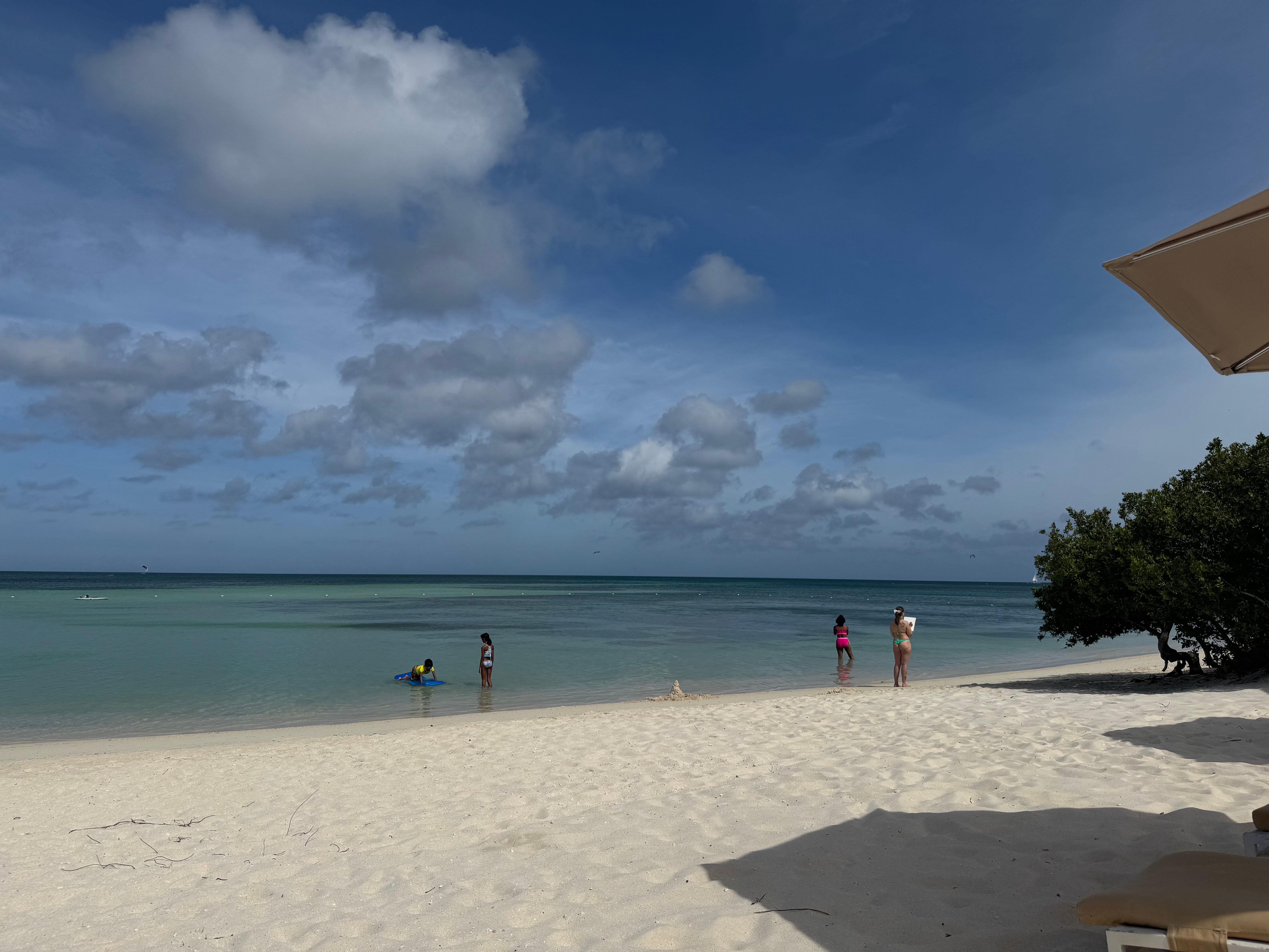 The Ritz-carlton, Aruba-泳池