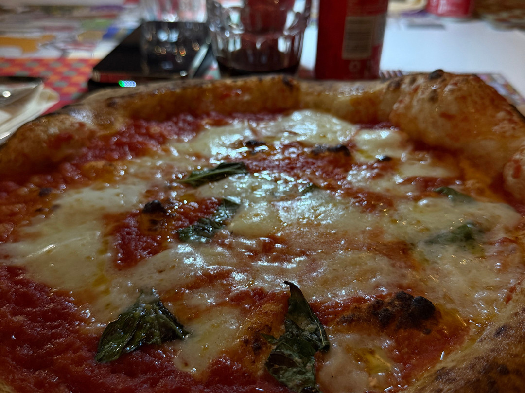 Carmine Colella Experience