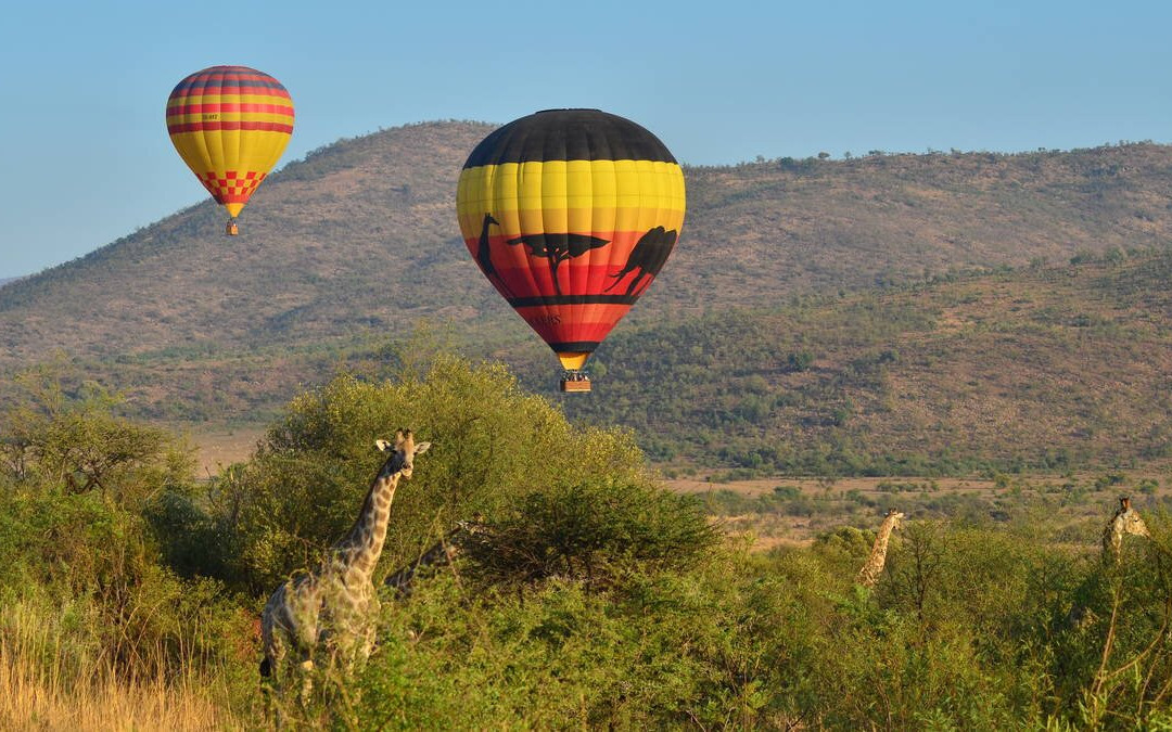 Boyang Gape Tours and Travel - Day Tours-弗维斯必去景点