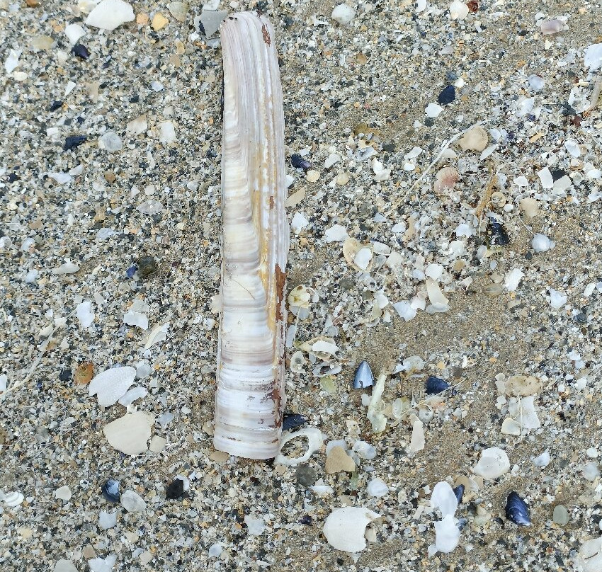 Dunfanaghy Bay-Dunfanaghy必去景点