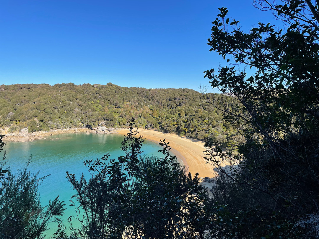Abel Tasman Sea Shuttle Ltd-莫图伊卡必去景点
