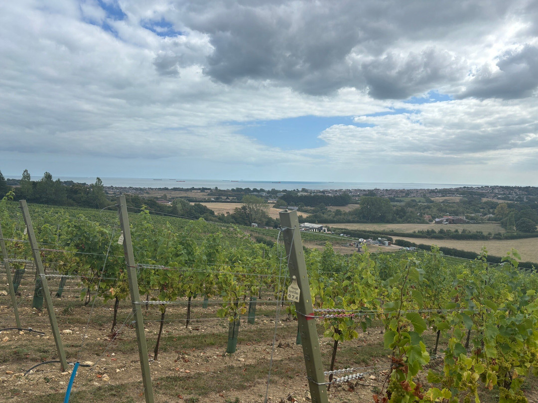 Adgestone Vineyard-Brading必去景点