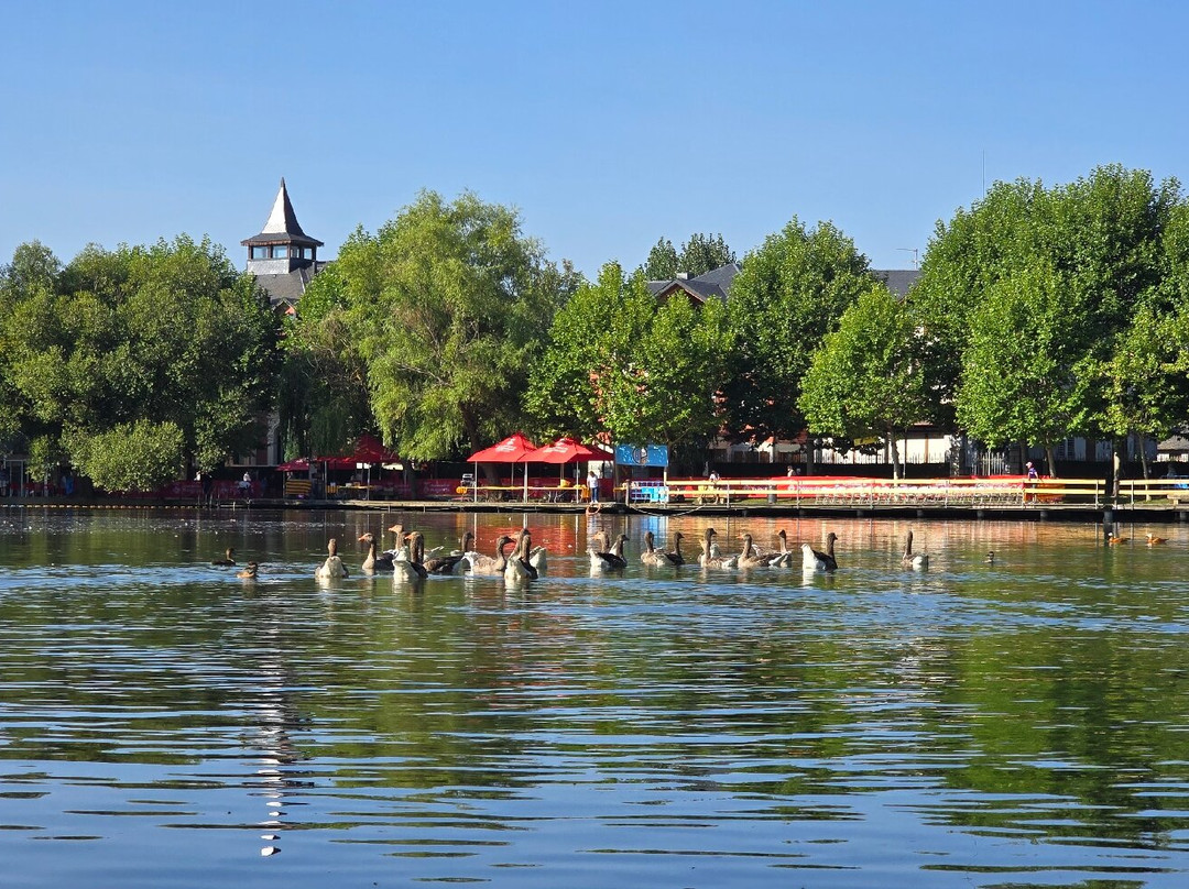 Lago de Puigcerda-Puigcerda必去景点