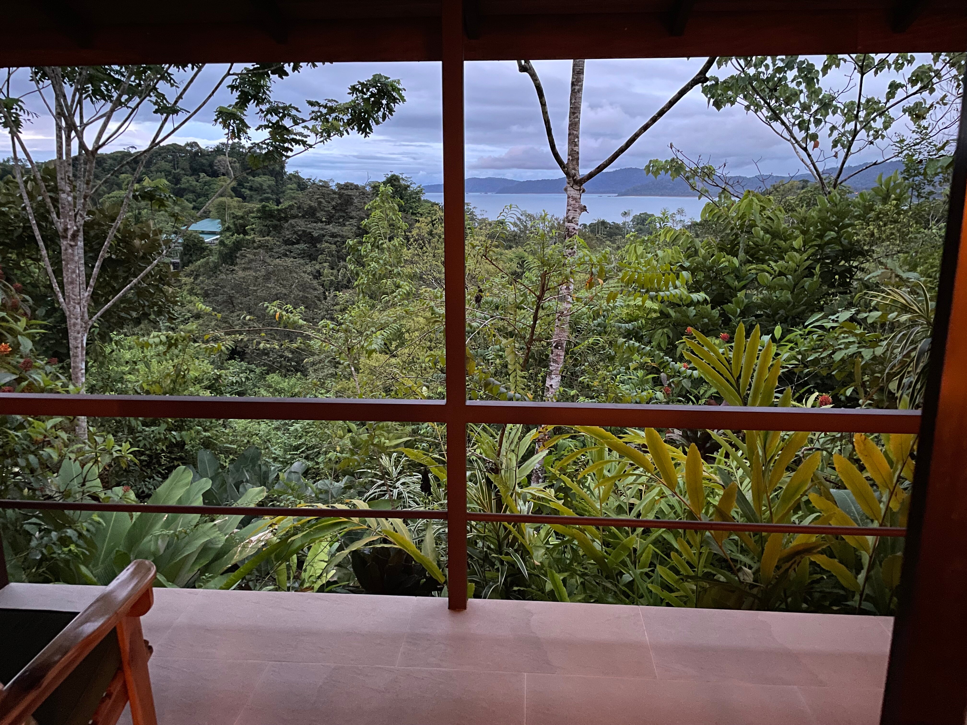 Drake Bay Greenleaf-官方