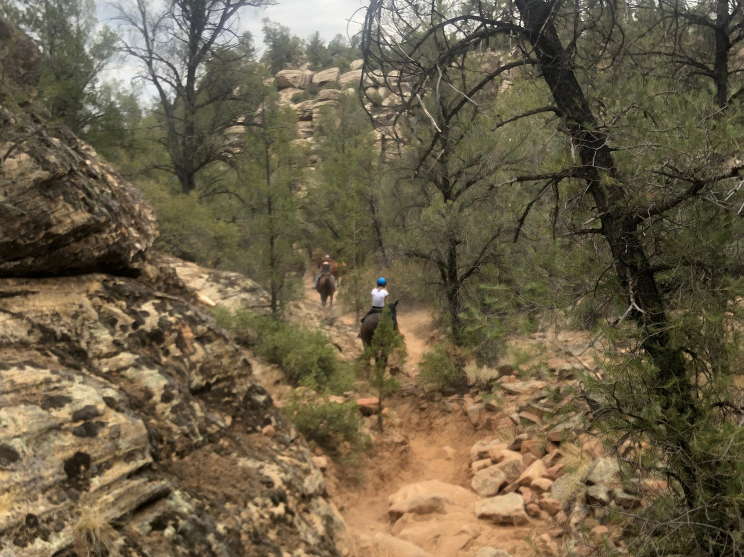 Snow Canyon Trail Rides-圣乔治必去景点