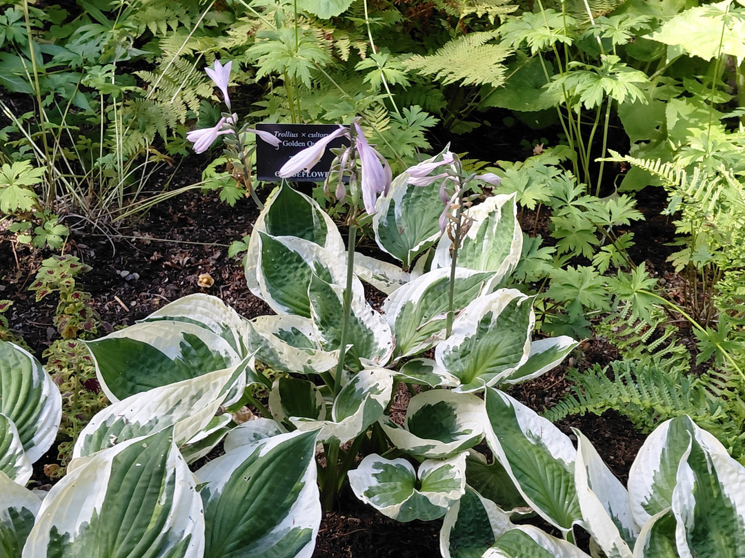 Jardins de Metis / Reford Gardens-Grand-Metis必去景点