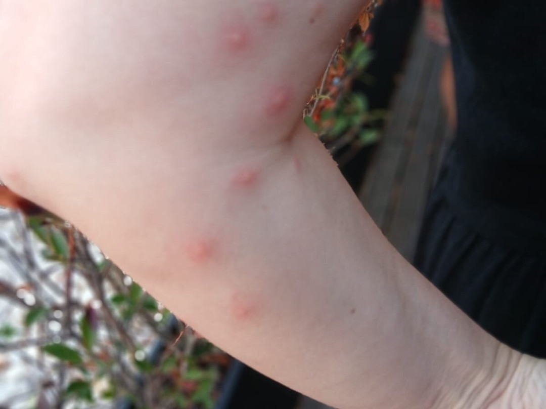 Hotel Club D'Azeitão主图