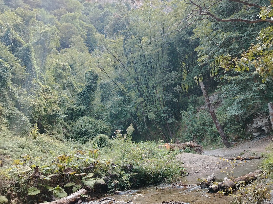 Valle delle Ferriere-阿马尔菲必去景点