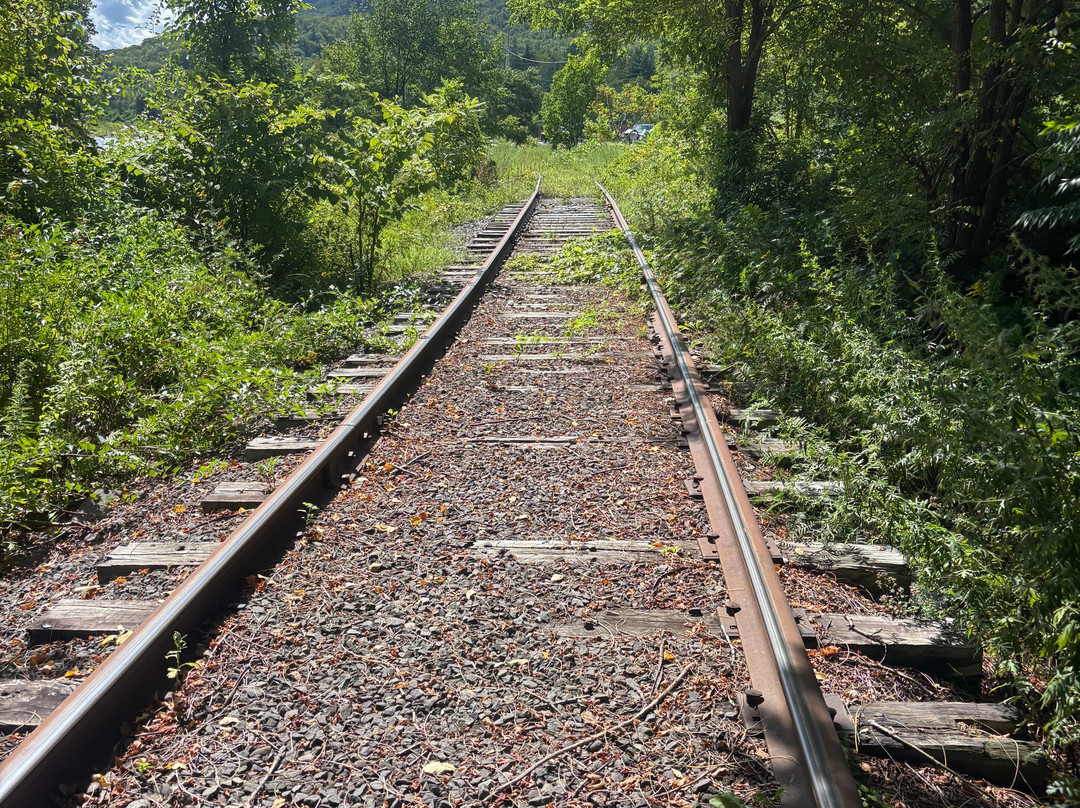 Rail Explorers-Phoenicia必去景点