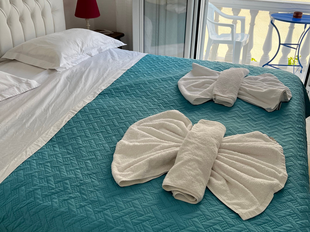 普托勒密斯酒店主图