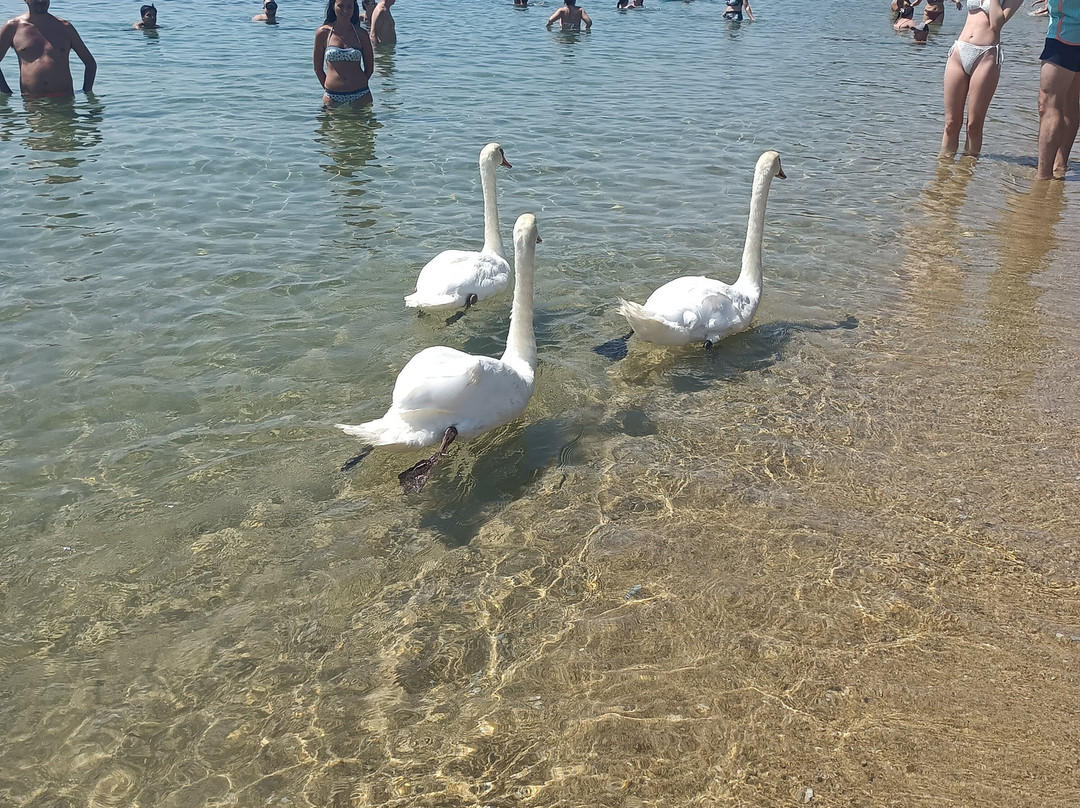 Kolios View Studios主图