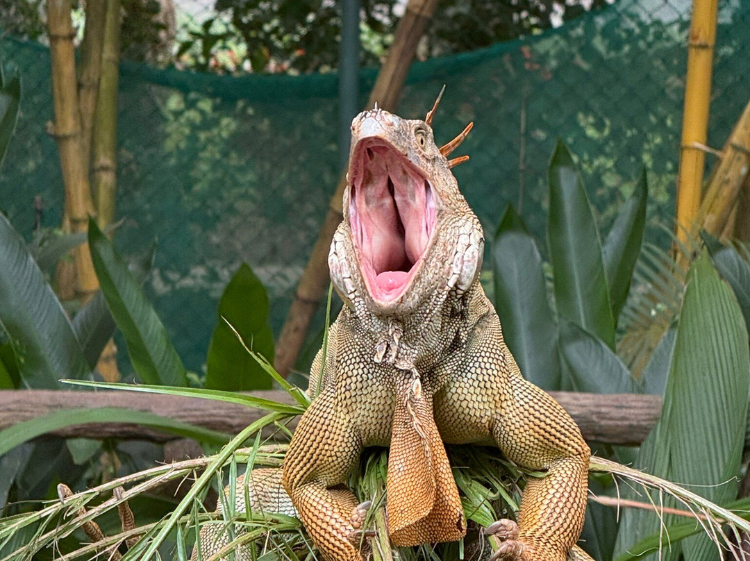 Diamante Eco Adventure Park-Playa Matapalo必去景点