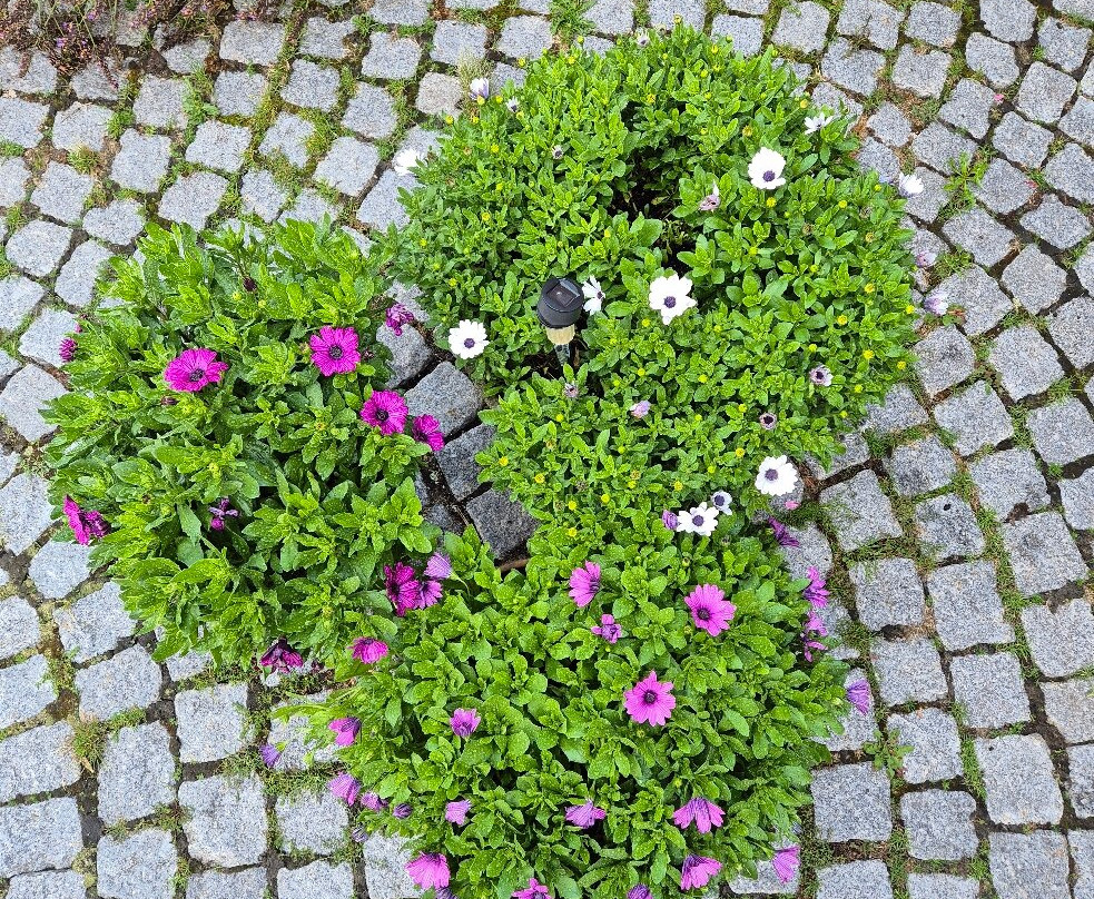 Landgasthof Rössle主图