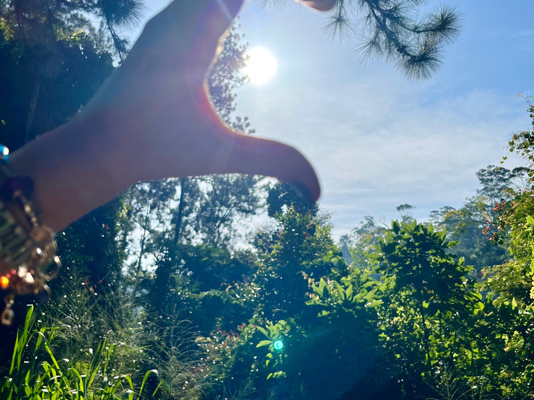 Rubik's Tours (pvt) Ltd-科伦坡必去景点