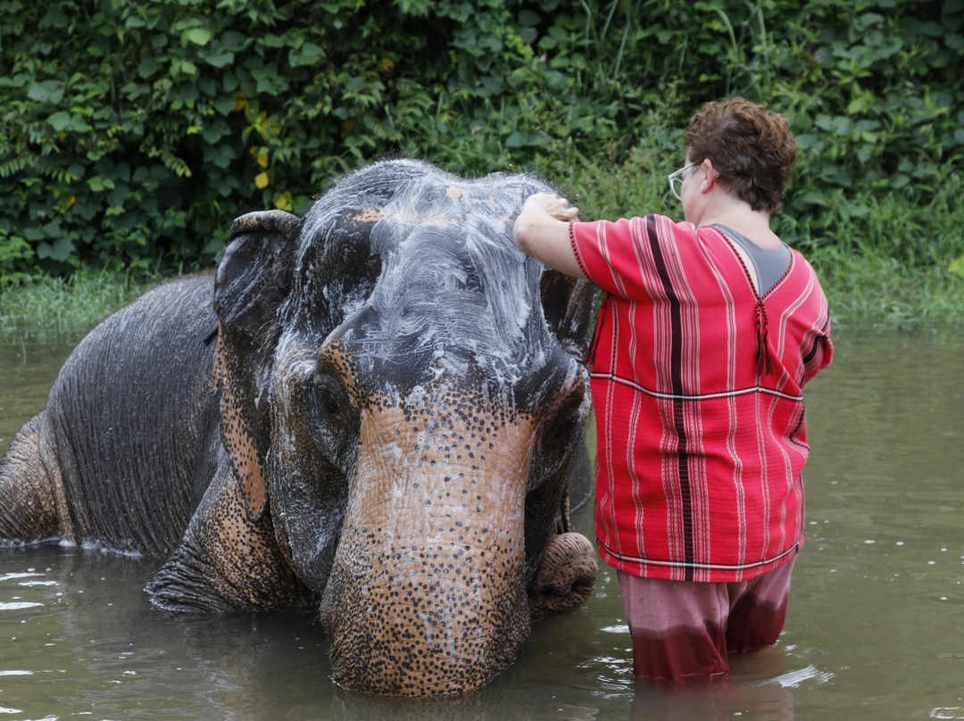 Karen Tribe Native Elephant-清迈必去景点