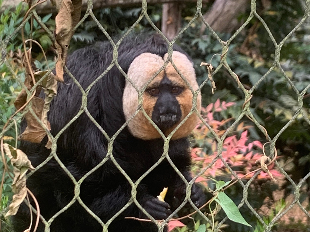 Natur'zoo de Mervent-Mervent必去景点