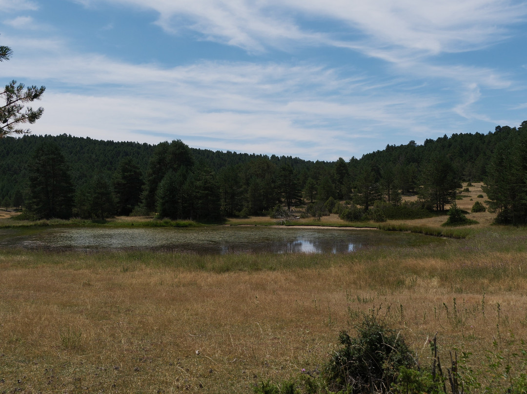 Hotel El Porton de la Sierra主图