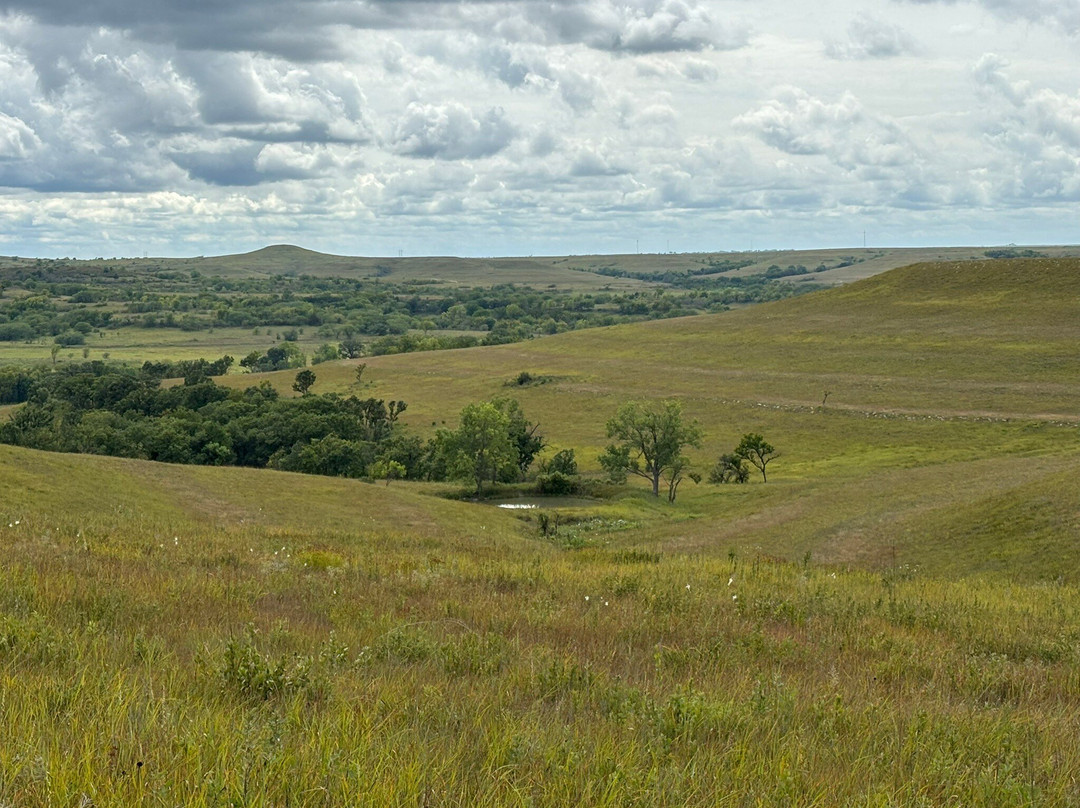 Konza Prairie Biological Station