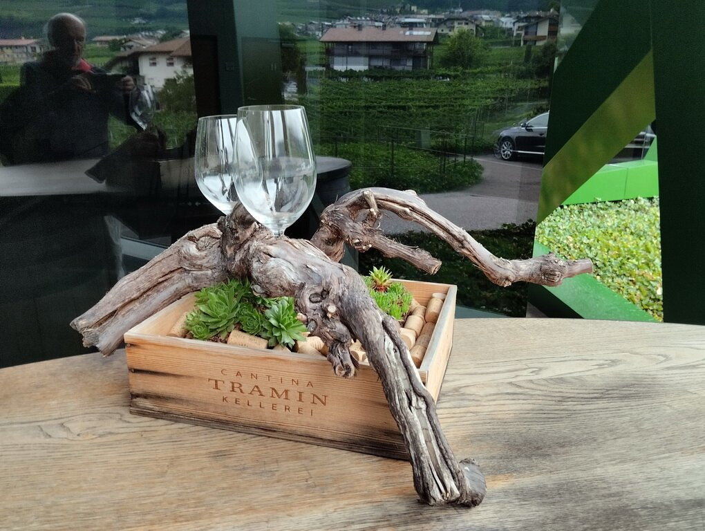 Cantina Tramin-Termeno必去景点