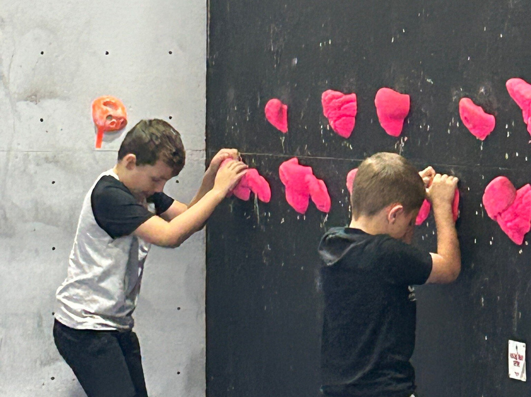 Summit Centre Climbing Wall-Trelewis必去景点