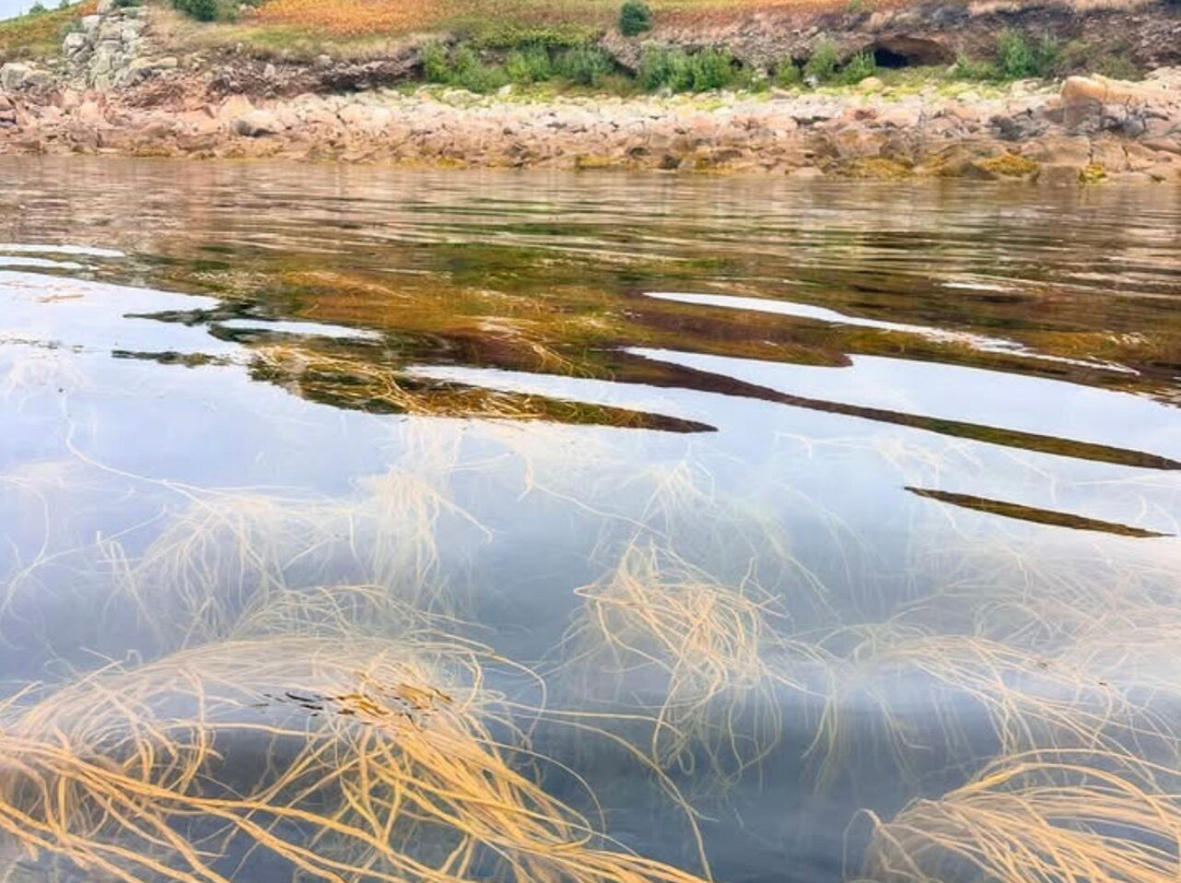 St Martin's Watersports-St Martin's必去景点