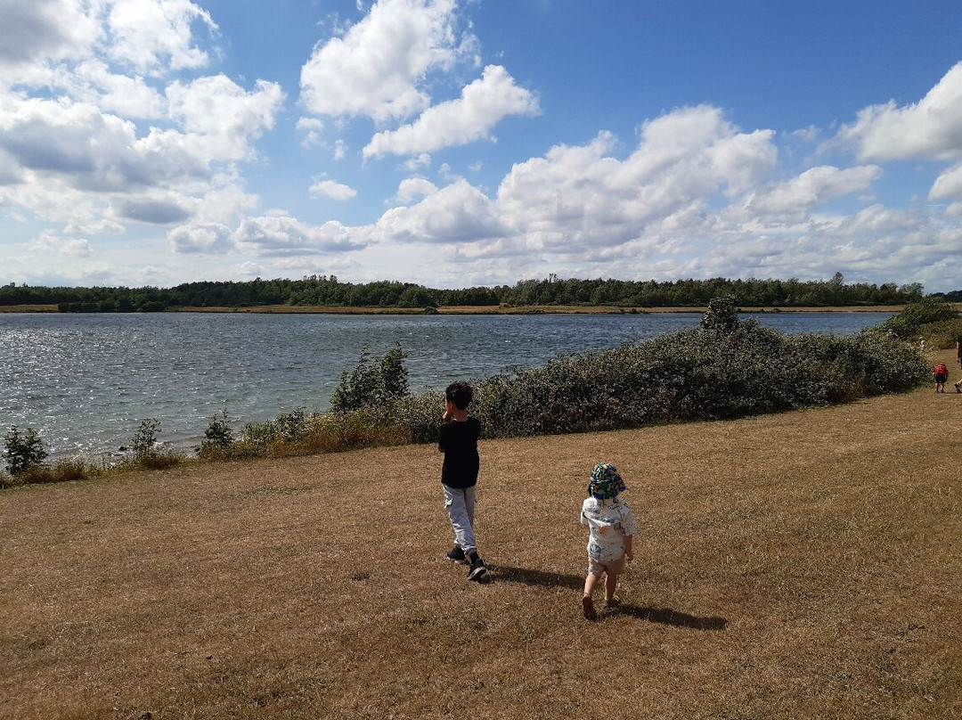 Angler's Country Park-韦克菲尔德必去景点