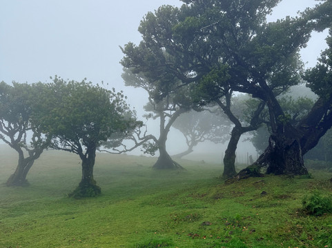 Your Taxi Madeira-沙尔必去景点