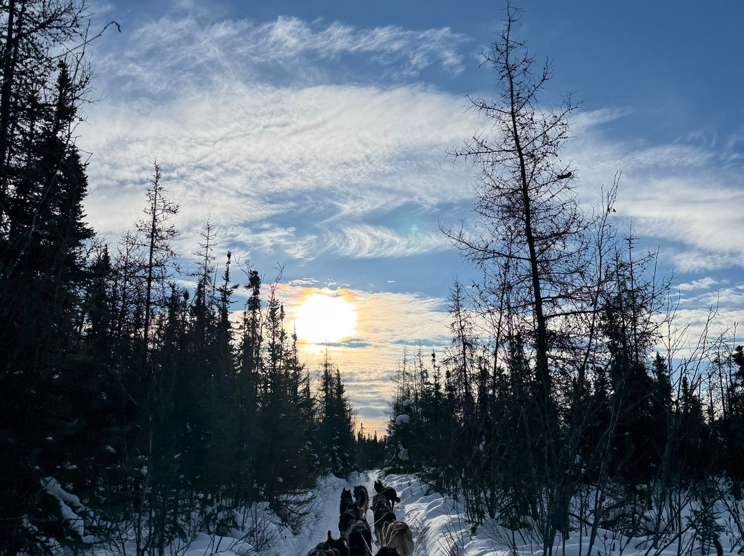 Arctic Paws Dog Sled Tours-Skytop必去景点