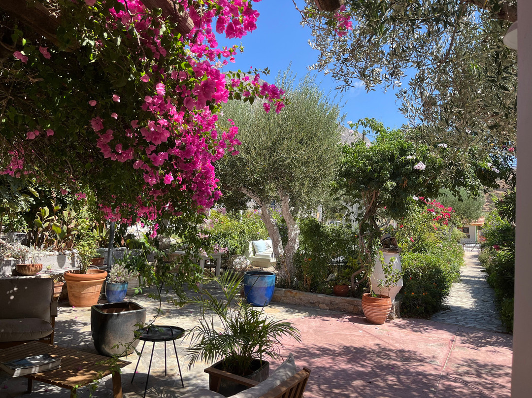 Harry's Paradise Apartments主图