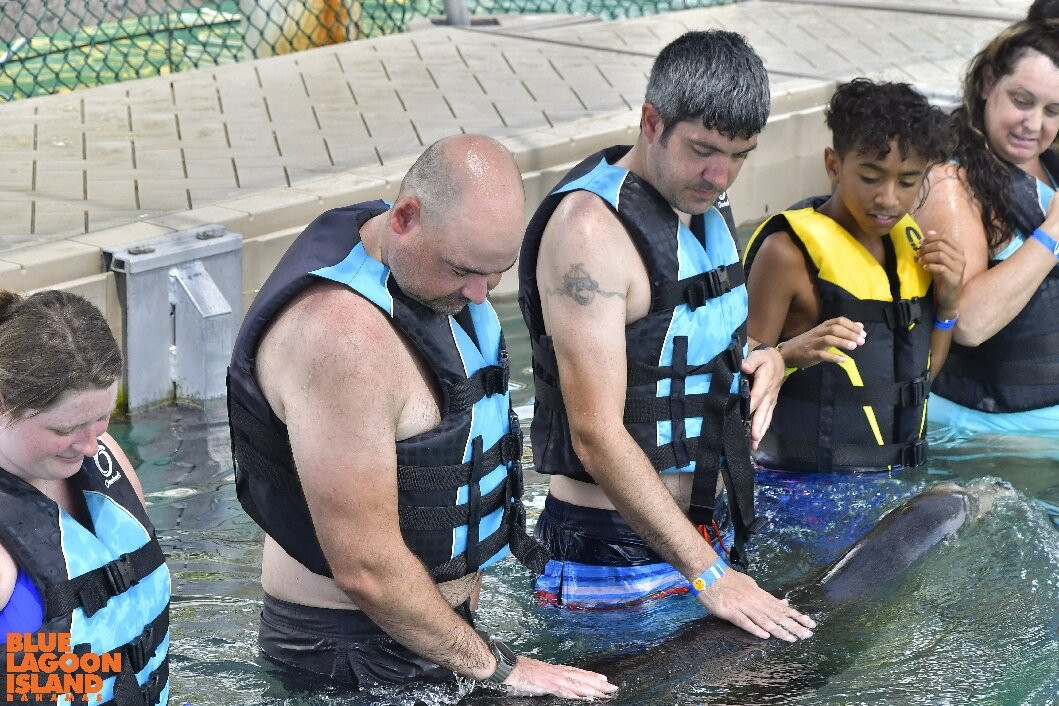 Sea Lion Encounter at Blue Lagoon-拿骚必去景点