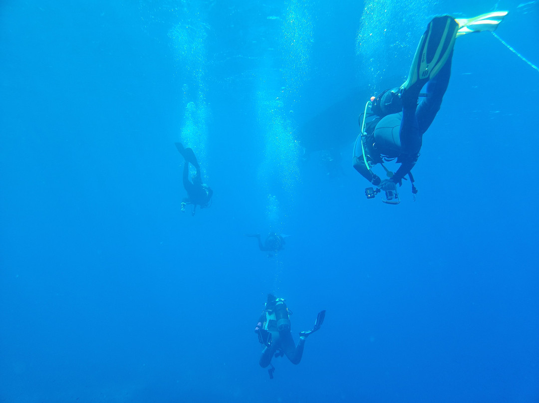 Orca Diving Ustica-Ustica必去景点