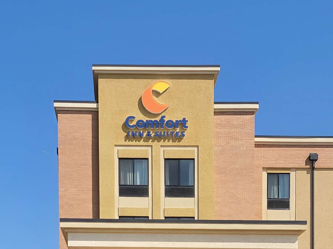 Alexander酒店住宿-Comfort Inn & Suites