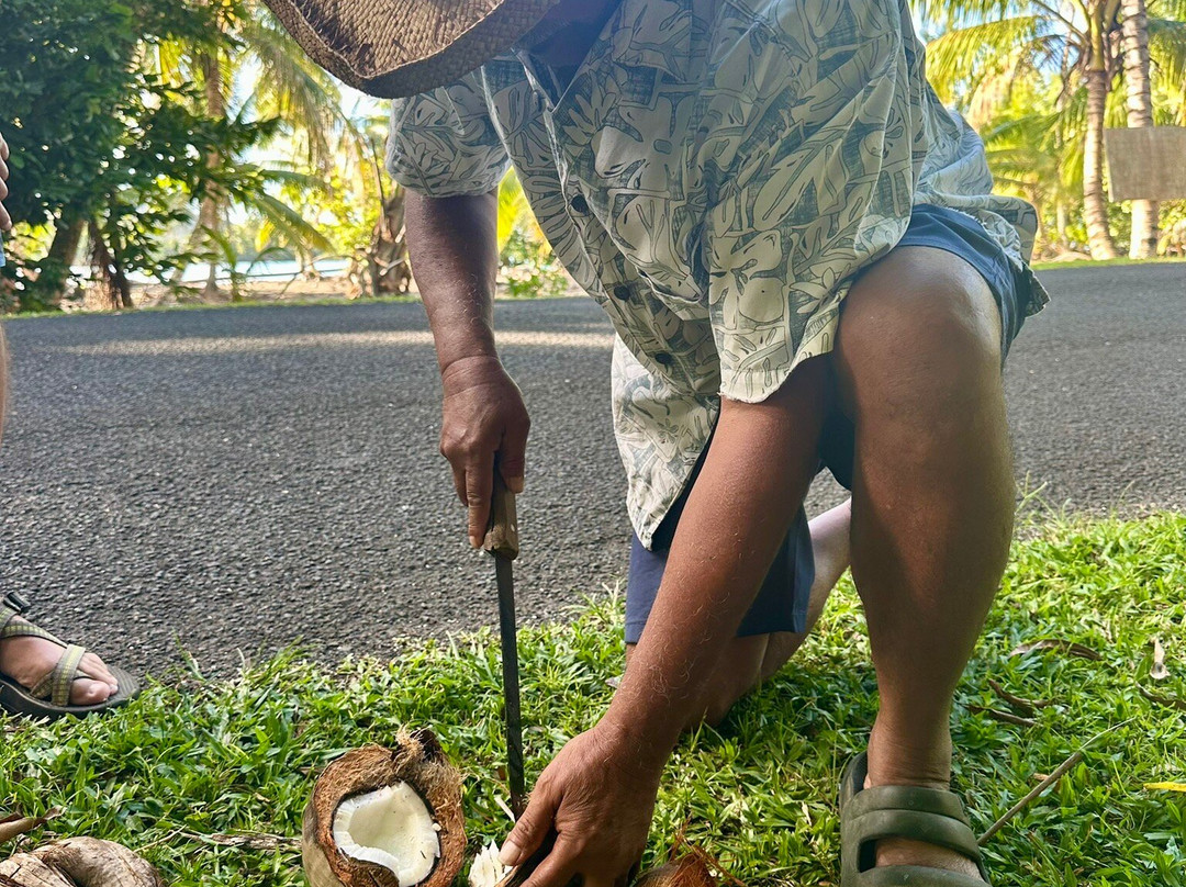 Huahine Land Safari Tour-Fare必去景点