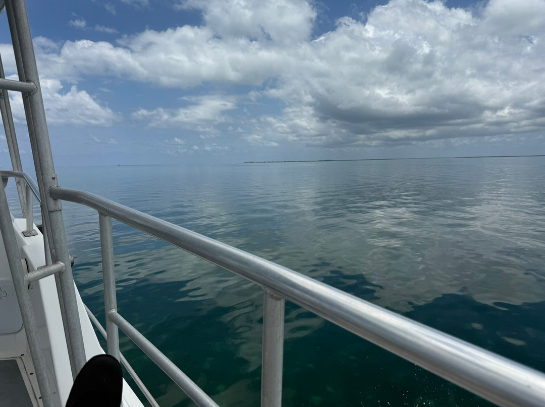 Living The Dream Divers-七哩滩必去景点