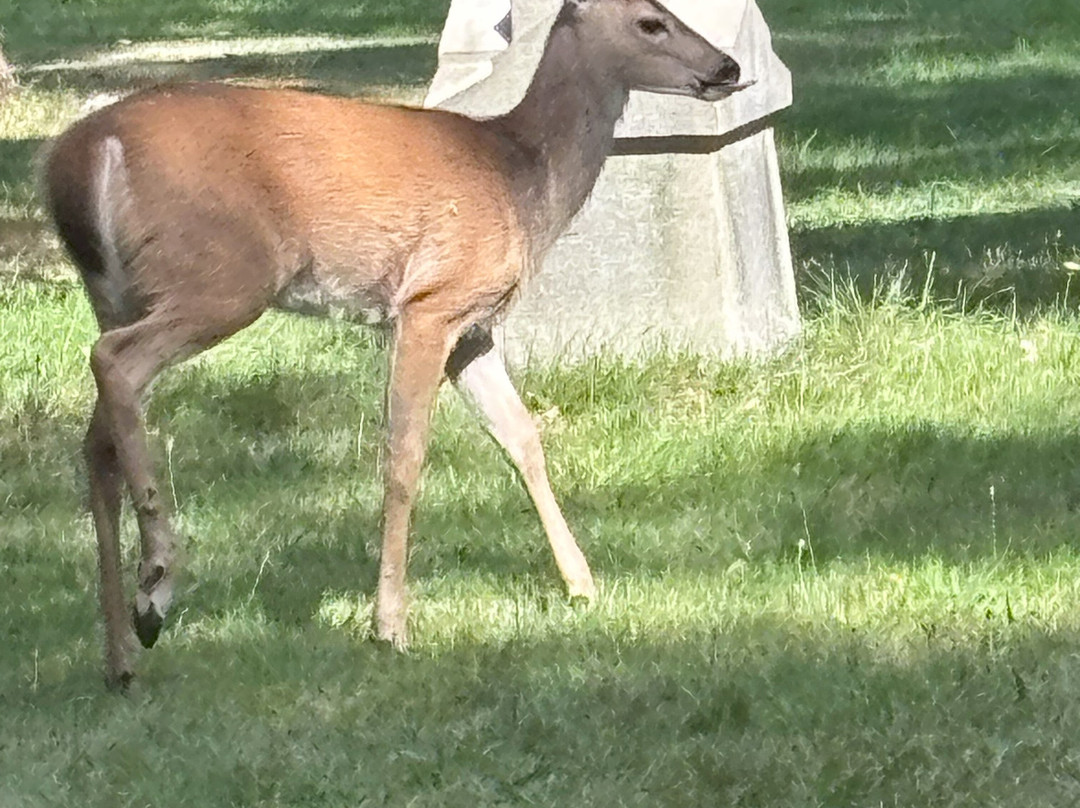 希望山公墓-罗切斯特必去景点