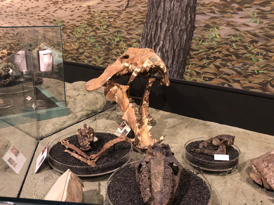 John Day Fossil Beds National Monument-John Day必去景点