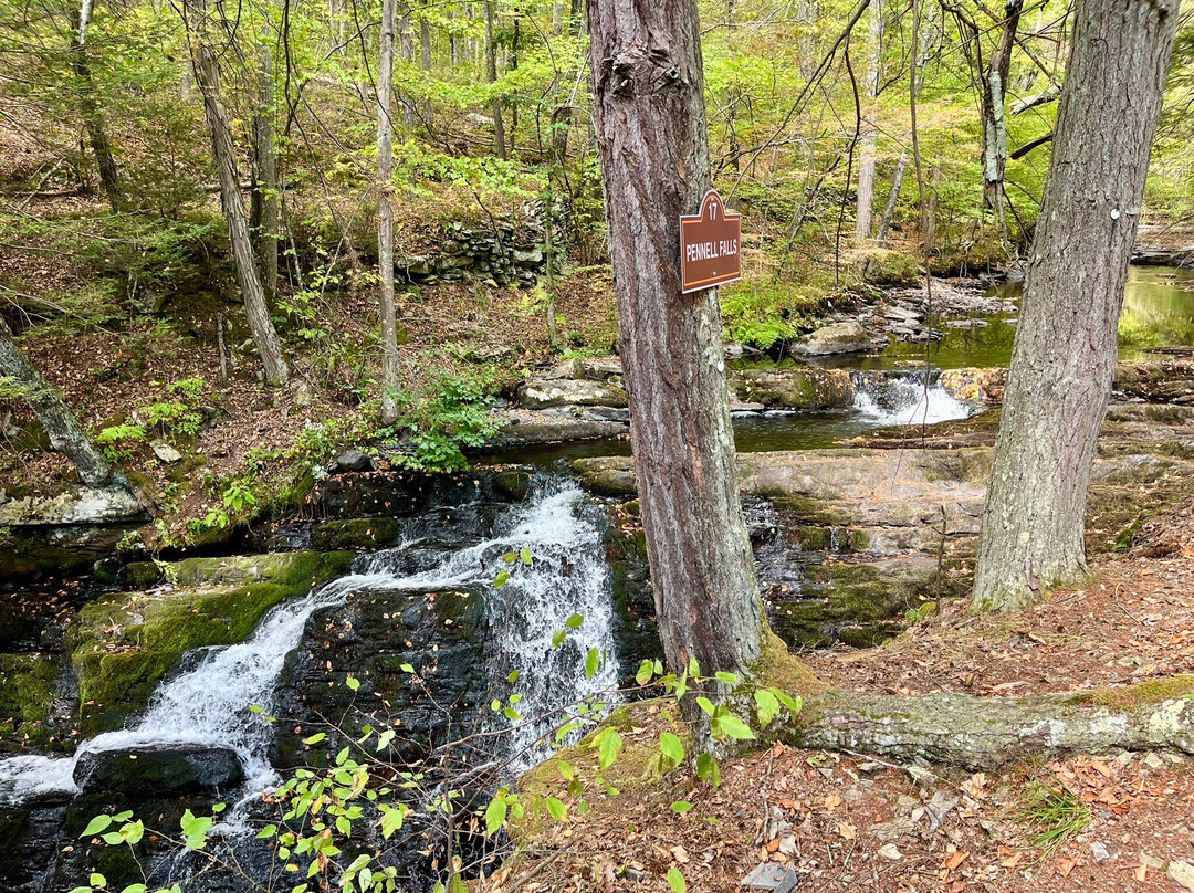 Bushkill Falls