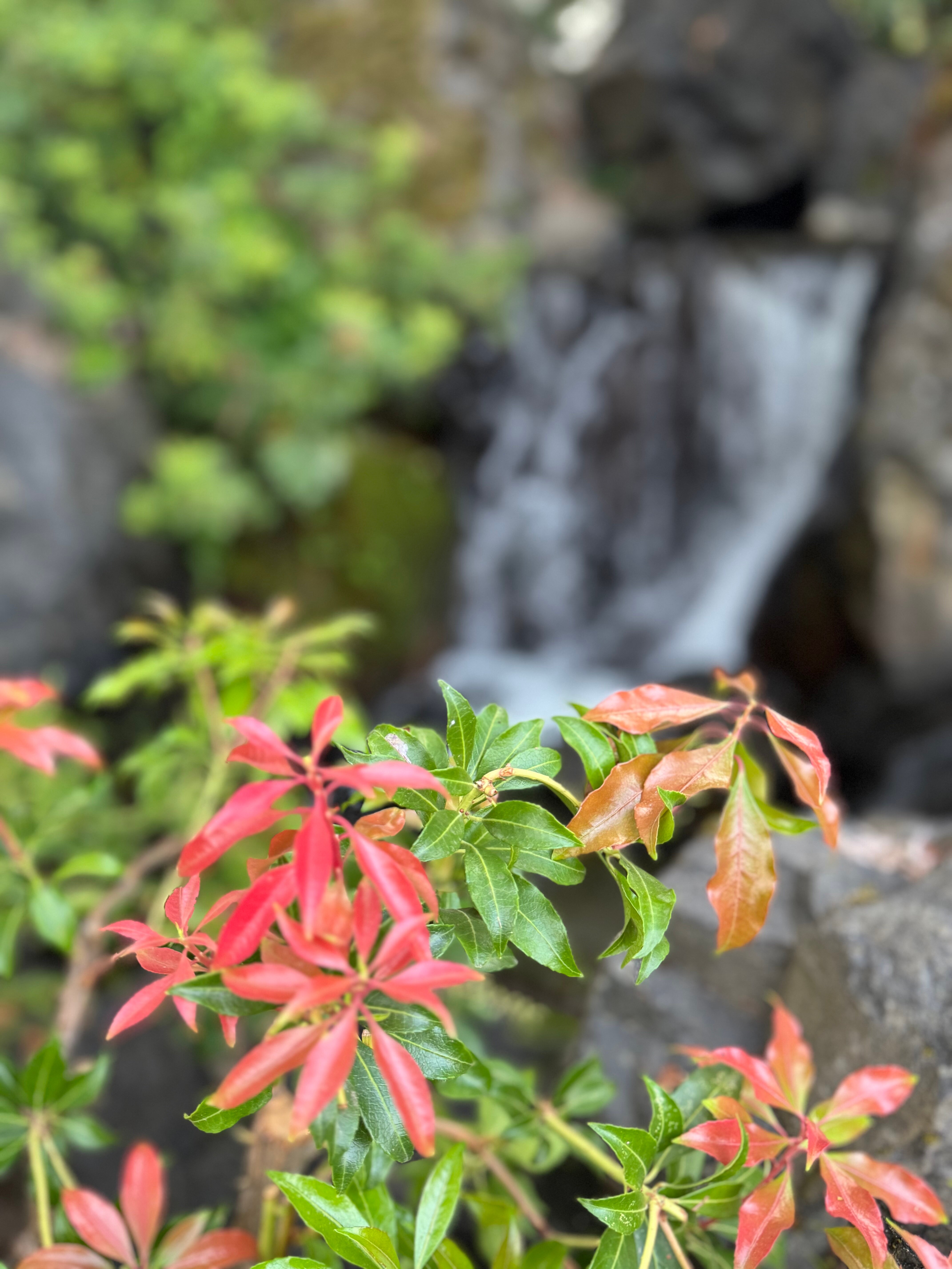 Best Western Premier Boulder Falls Inn-浴室