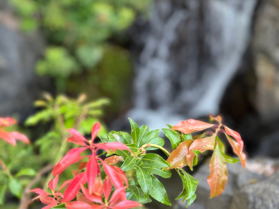 Best Western Premier Boulder Falls Inn主图