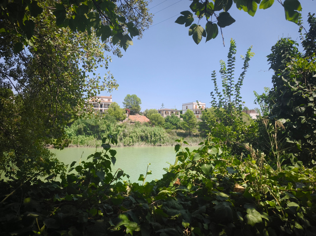 Ruta Botanica-Villarreal必去景点