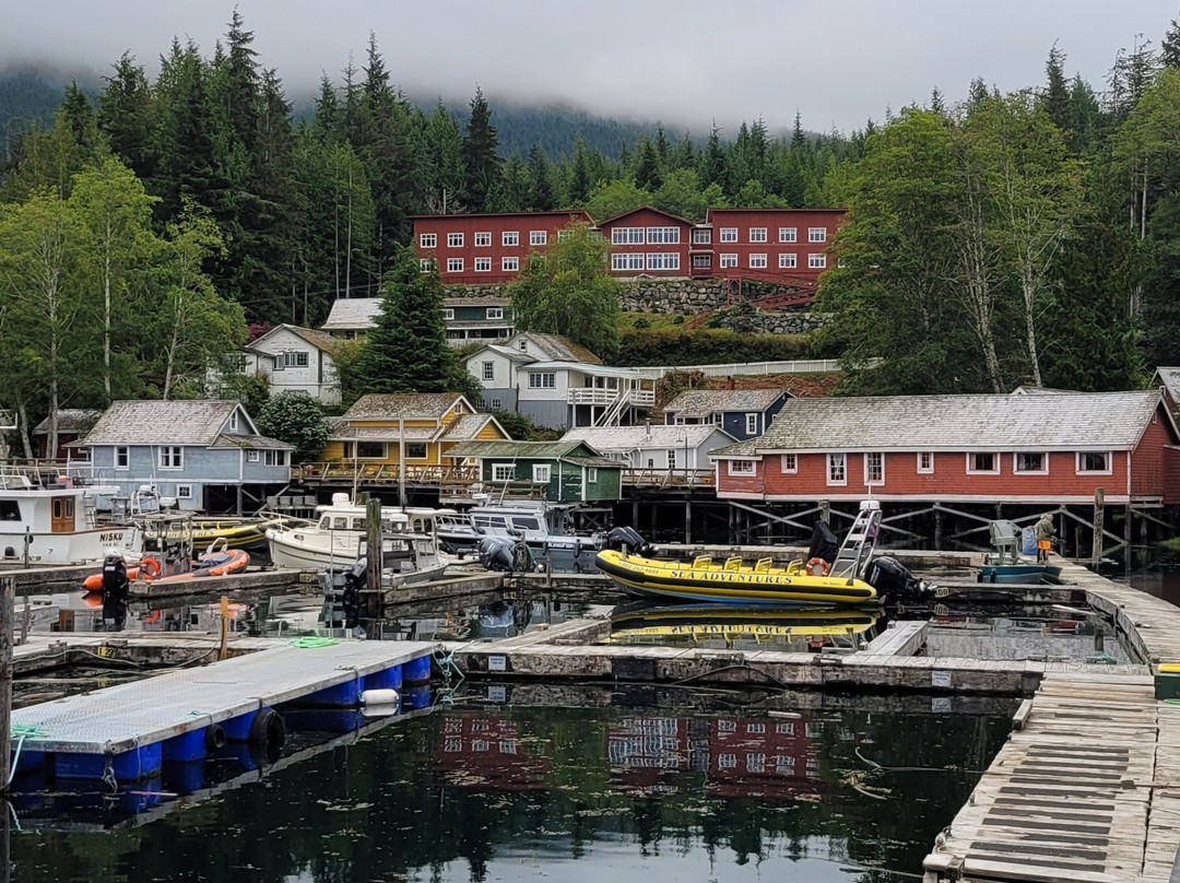 Telegraph Cove Marina & RV Park-Telegraph Cove必去景点