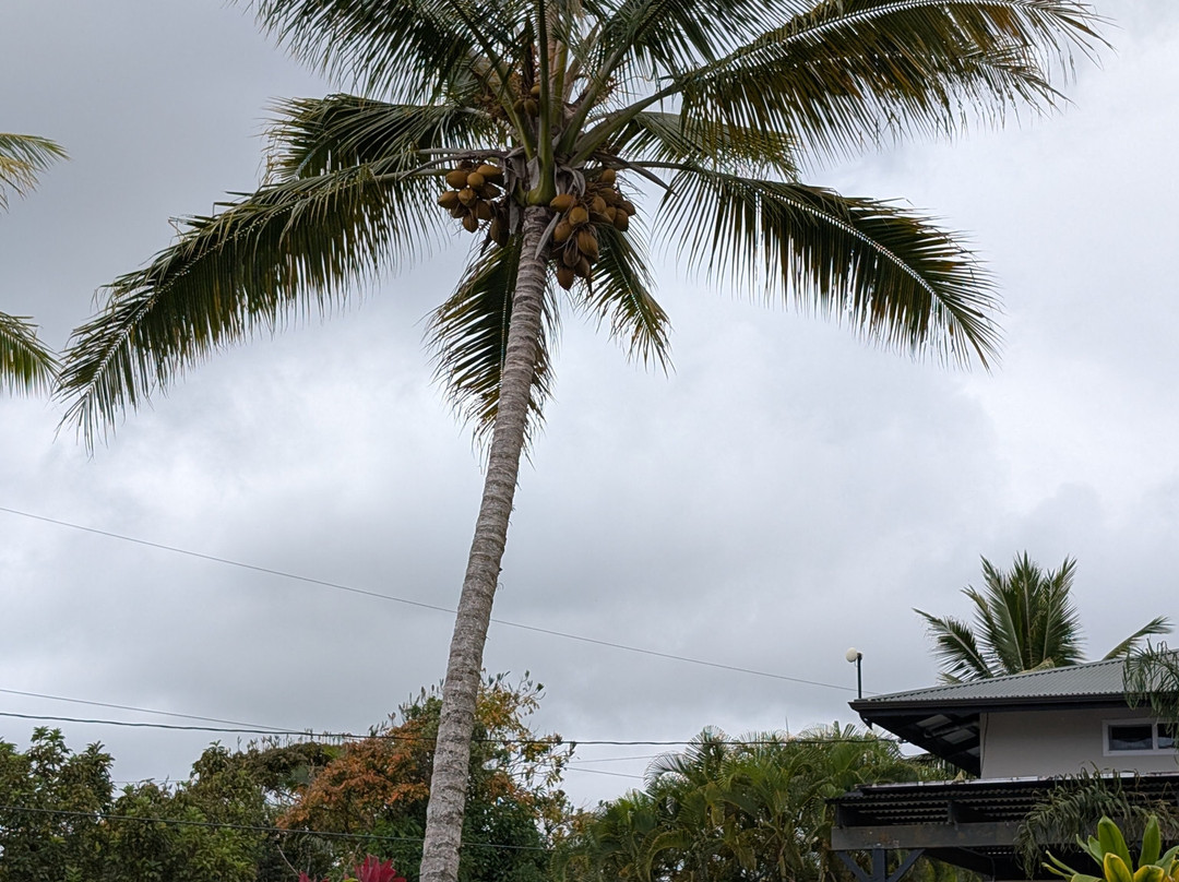 古德岛之家主图