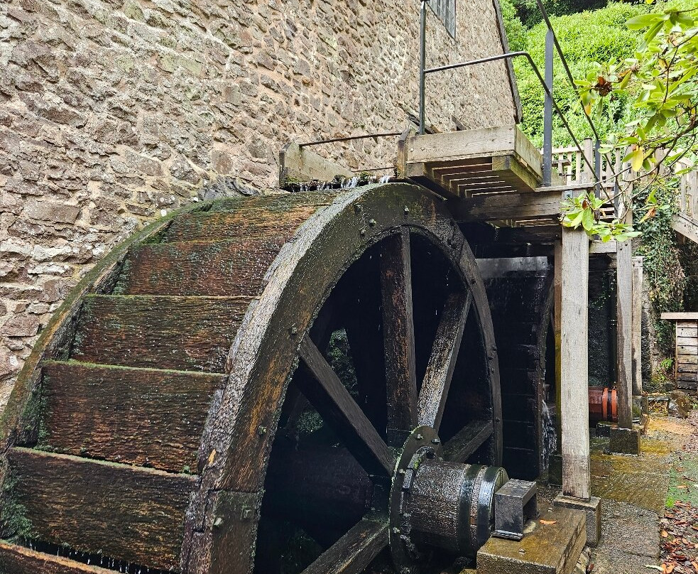 Dunster Working Watermill-Dunster必去景点