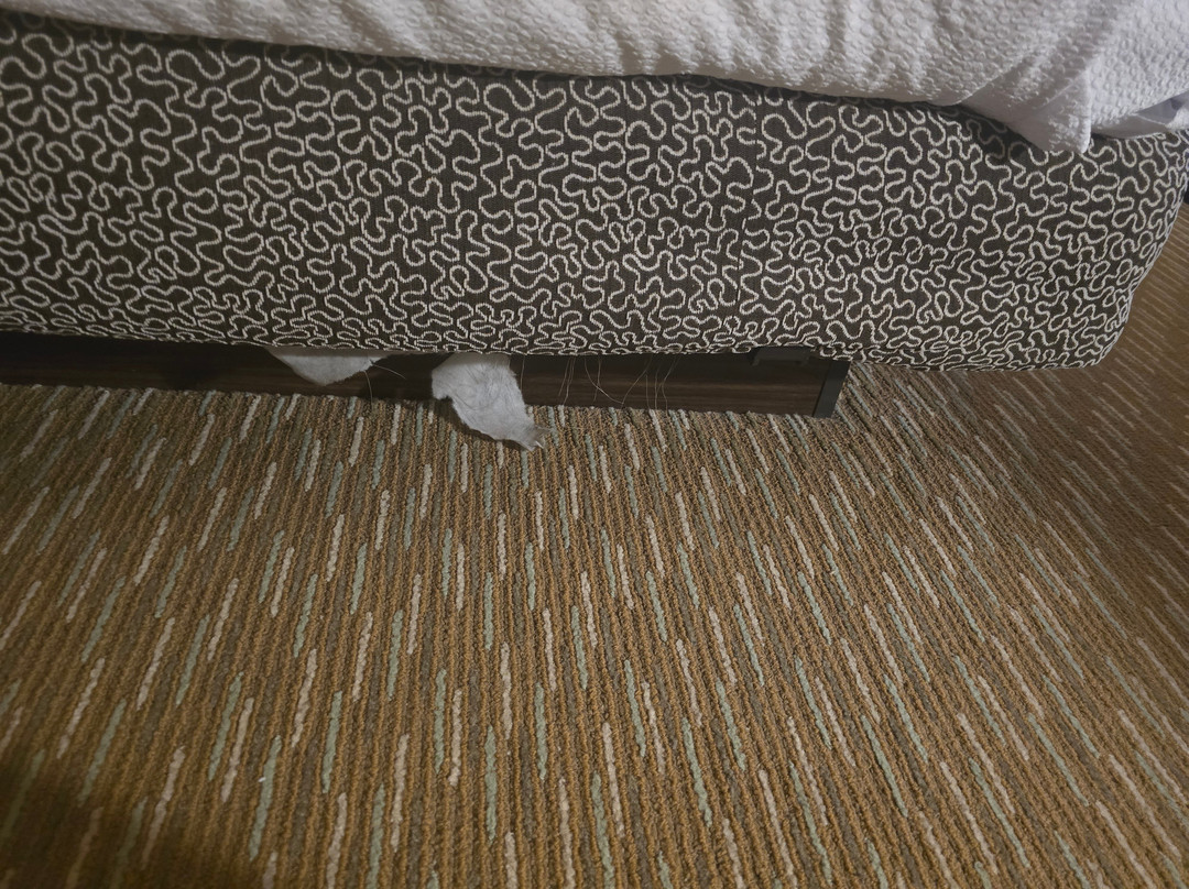 夏洛特派恩维尔希尔顿花园旅馆主图