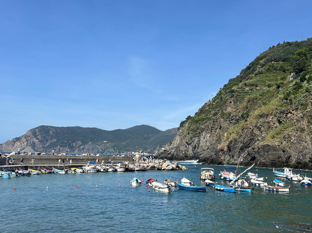 波多瑞卡酒店主图