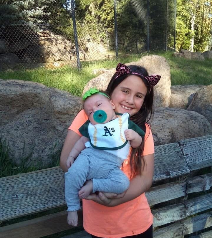 Six Flags Discovery Kingdom-瓦列霍必去景点