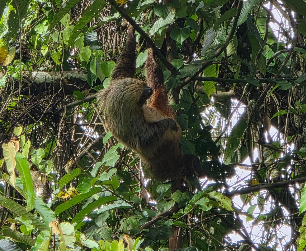 Santy_travelmaker-基多必去景点