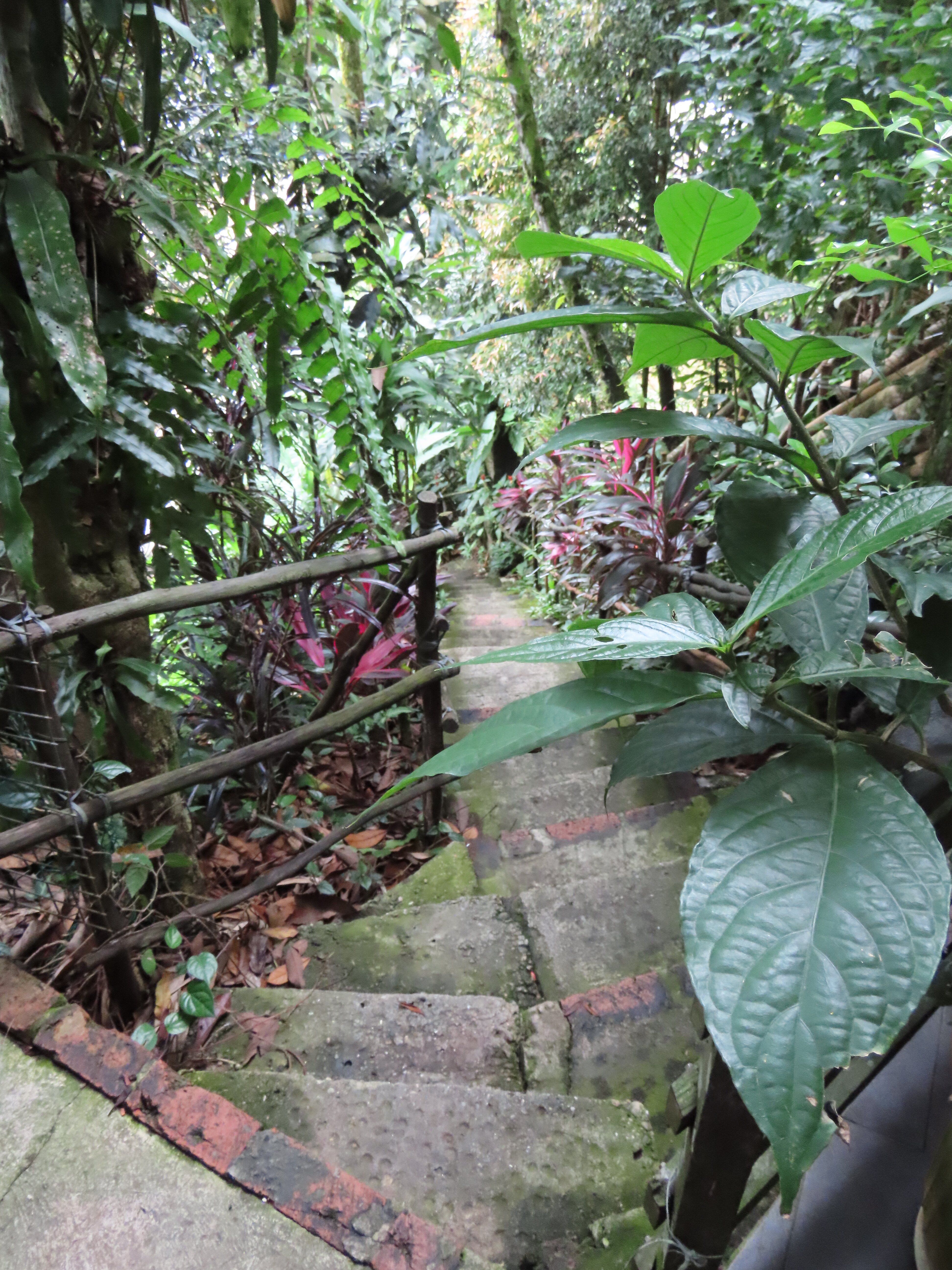 Saloma Villagestay-客卧